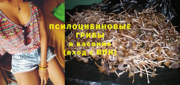 шишки Лиски