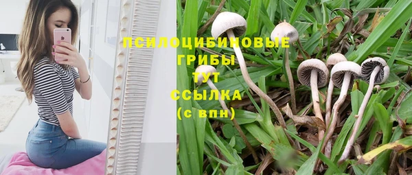 мескалин Магадан